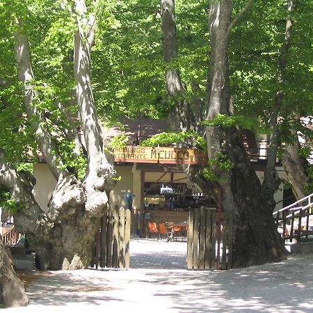 Sigillo Albergo Ristorante Montecucco Da Tobia מראה חיצוני תמונה
