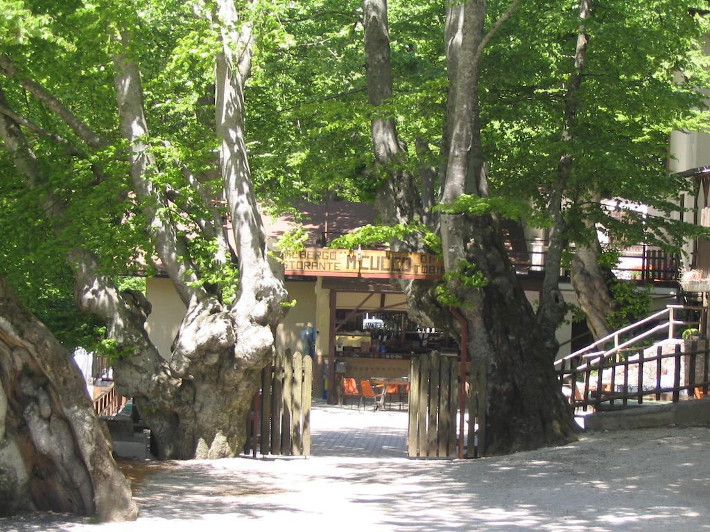 Sigillo Albergo Ristorante Montecucco Da Tobia מראה חיצוני תמונה